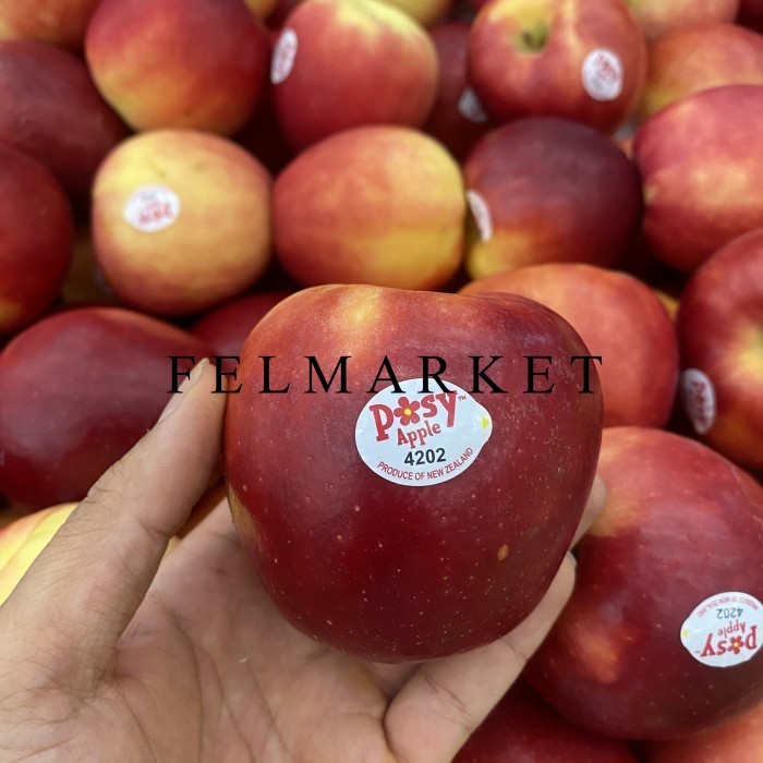 

Buah Apel Posy New Zealand Manis 600 gr