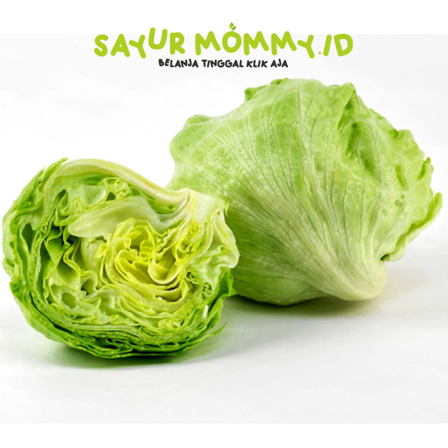

Lettuce Iceberg 500 gram - 1 kg Sidoarjo