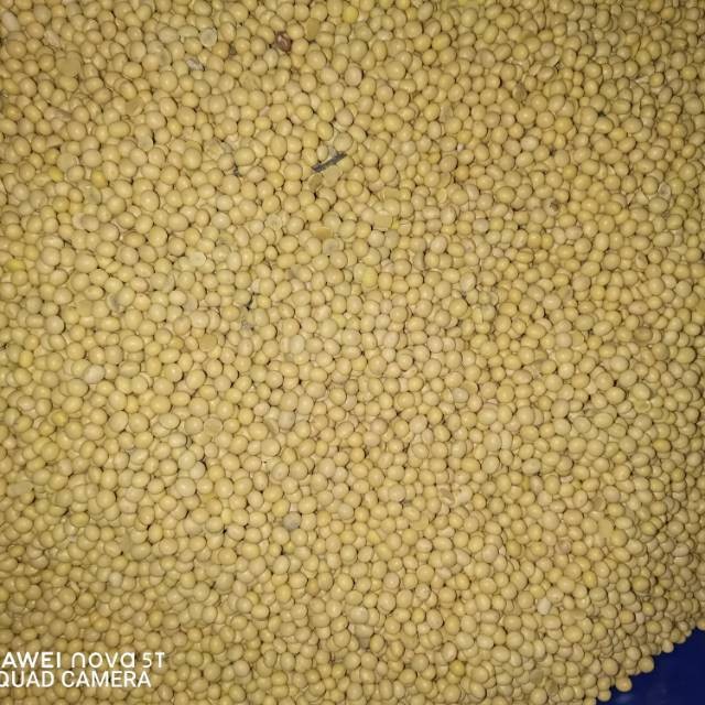 

Kacang Kedelai Super America 1kg/1000gr