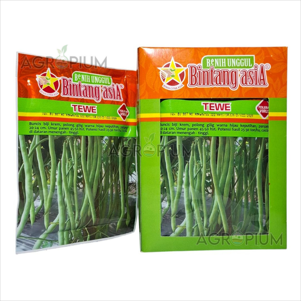 BENIH BUNCIS TEWE 100 GRAM - BINTANG ASIA