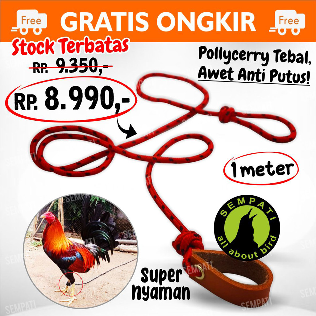 SEMPATI Tali Kaki Ayam Full Perusik Panjang 1 Meter Tali Kaki Ayam Laga Jago Aduan Petarung Jantan B