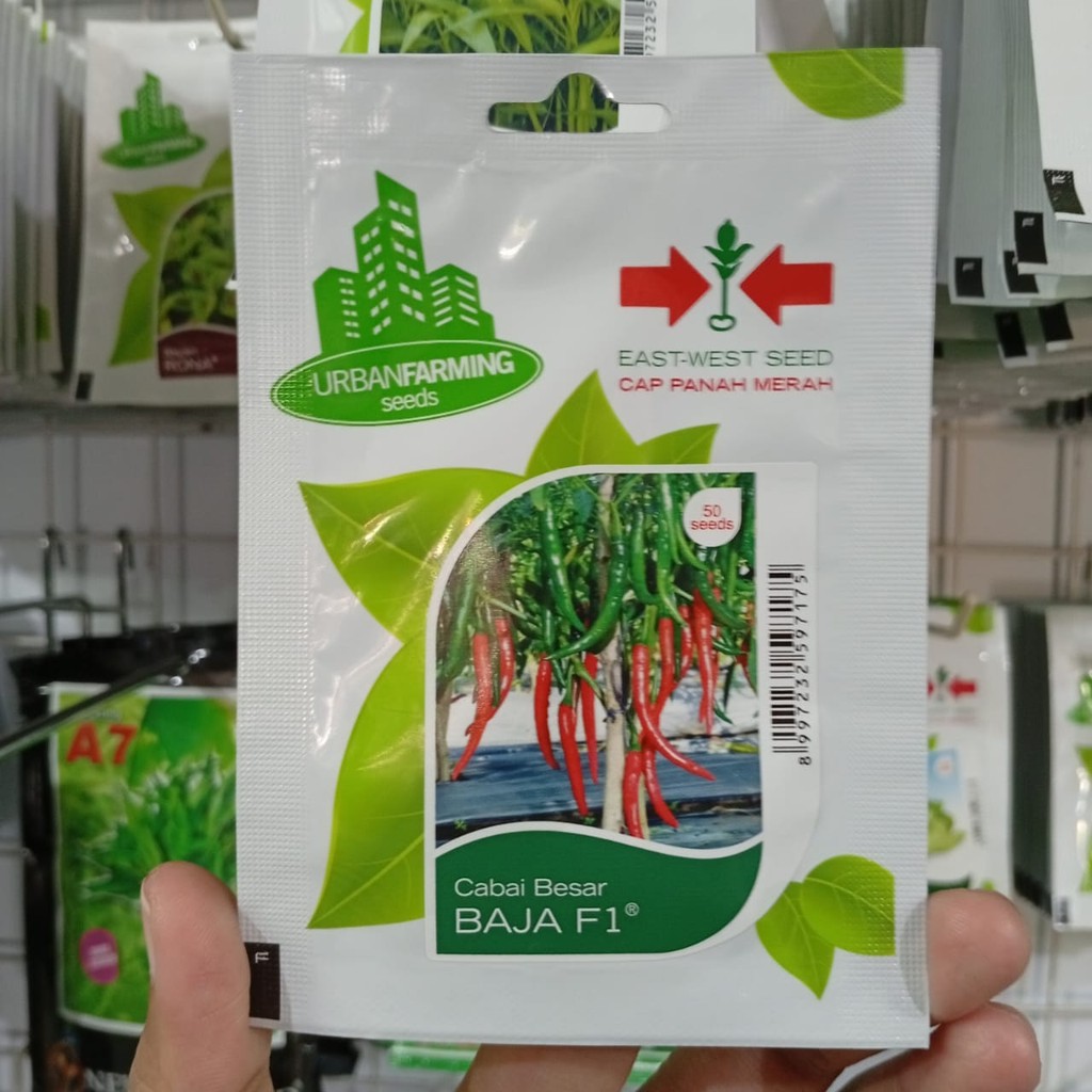 Benih Panah Merah Cabe Cabai Besar Baja F1 50 Biji Sayuran Cap Panah Merah