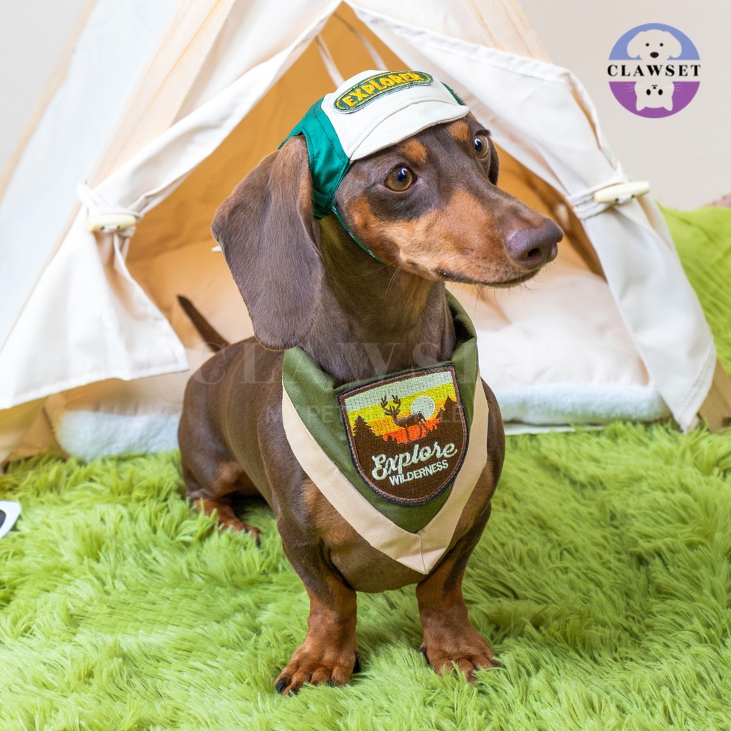 Clawset - Pet Hat - Scout Collection (Topi Hewan Peliharaan) - Explorer Green
