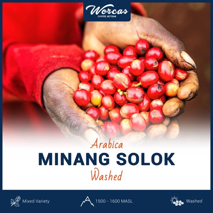 

Padang Solok Arabica Green Bean 1Kg (Biji Kopi Mentah)