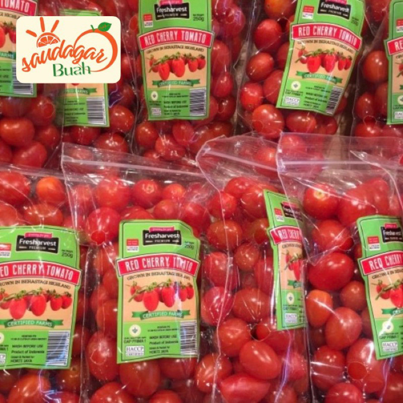 

tomat cherry fresh 1 pack ud buah tiga saudara