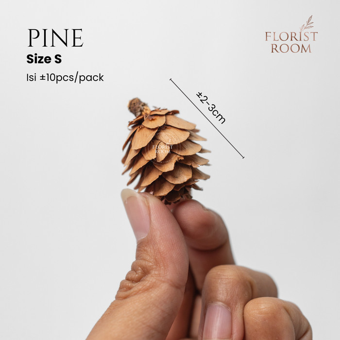 

Pinus - Christmas Pinecone - Natal - Size S