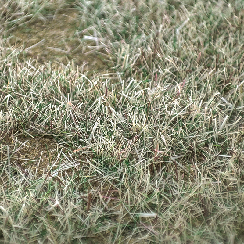 

100G 3mm Blended Season Grass Static Grass for scale train railway layout miniature model materials static flocking fibers