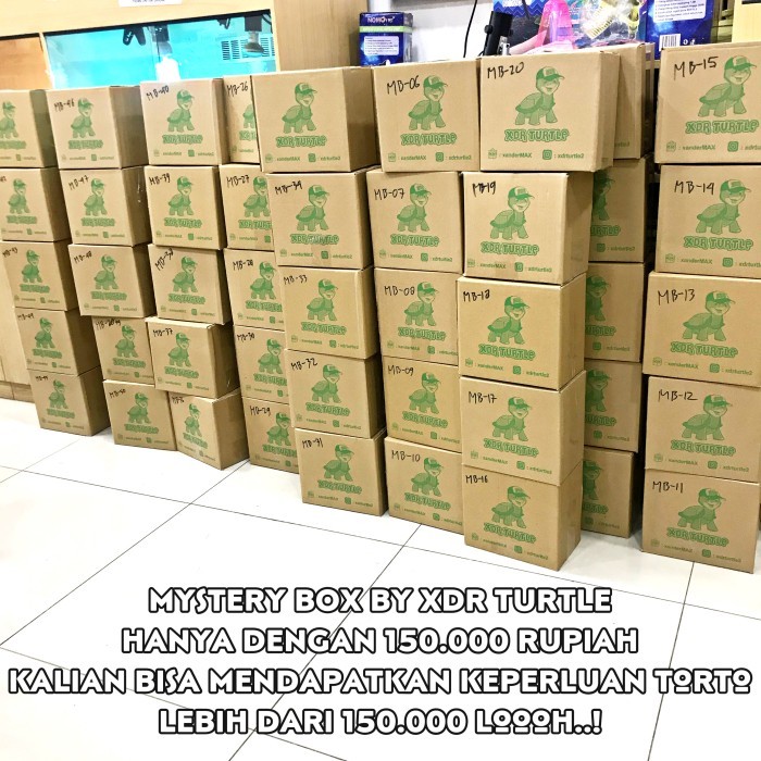 SALE -PROMO XDR TURTLE MYSTERY BOX TORTOISE KURA DARAT EDITION SULCATA ISTAR