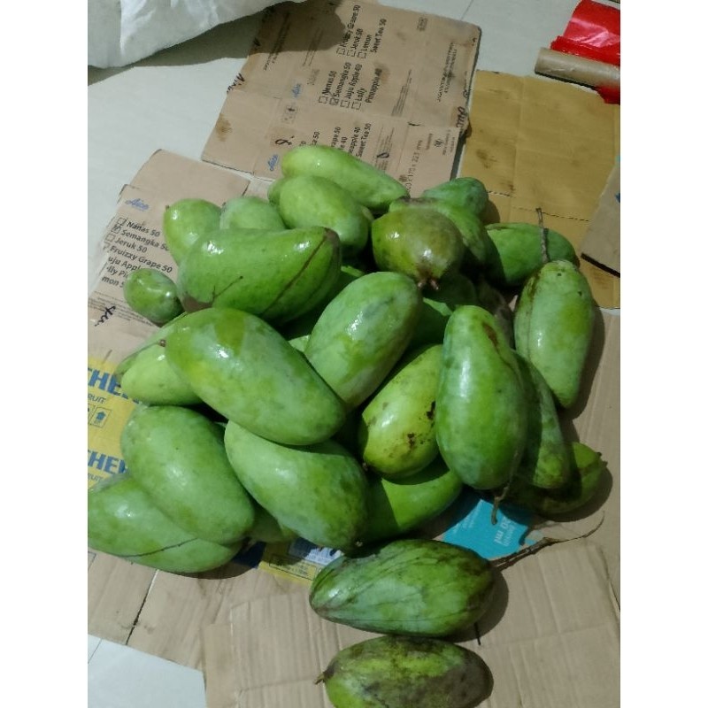 

PROMO AMBYAR Mangga Kiojay Kriuk TERBAIK