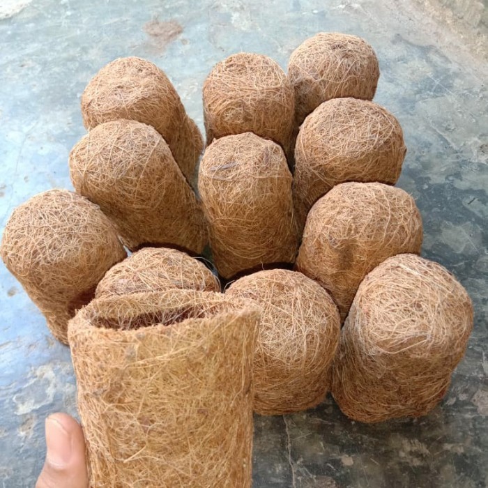 TERMURAH POT SABUT KELAPA /BONSAI (Galery Sabut kelapa)