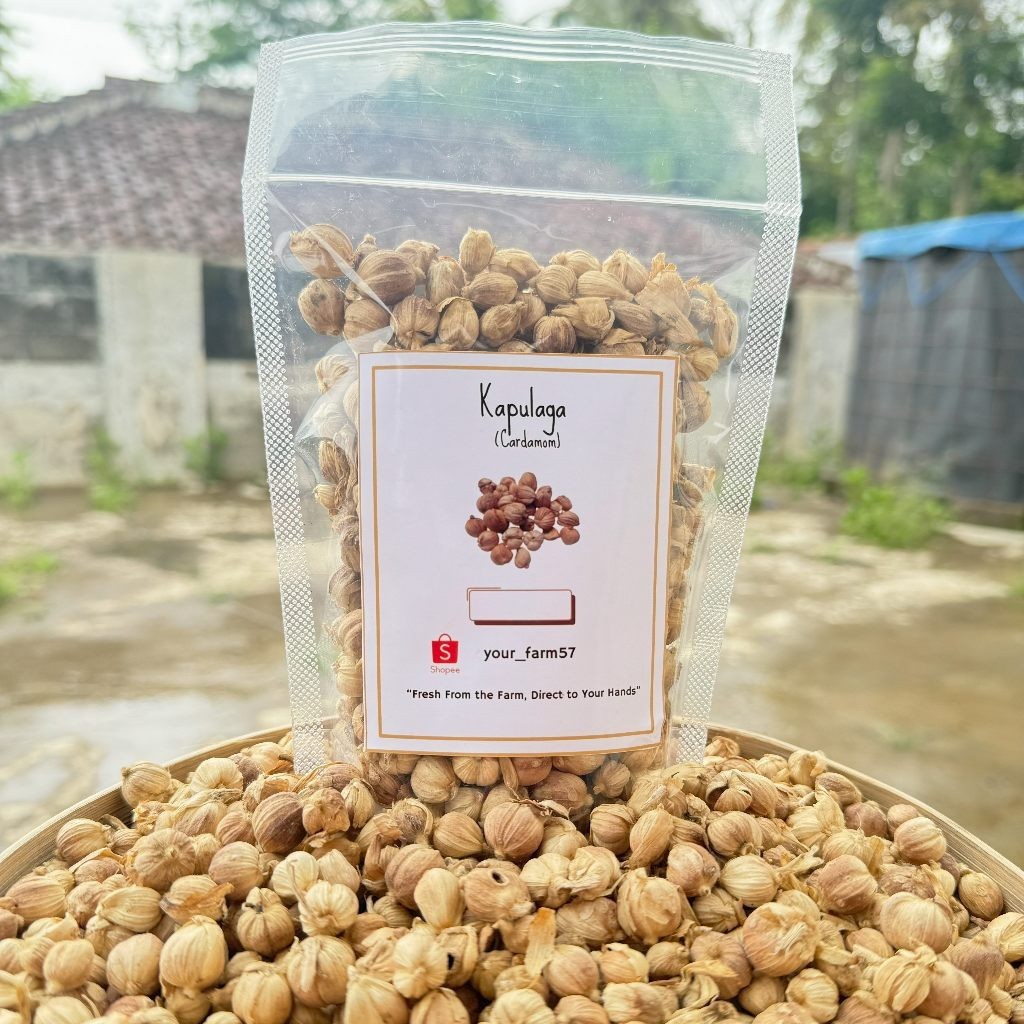 

COD Kapulaga Kering / Kapulaga Organik / Kapulaga Gunung Kawi 1 KG