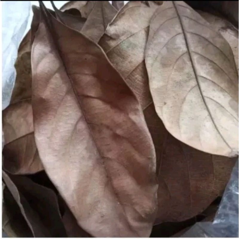 

Daun nangka kering per 100gram di ambil dadakan