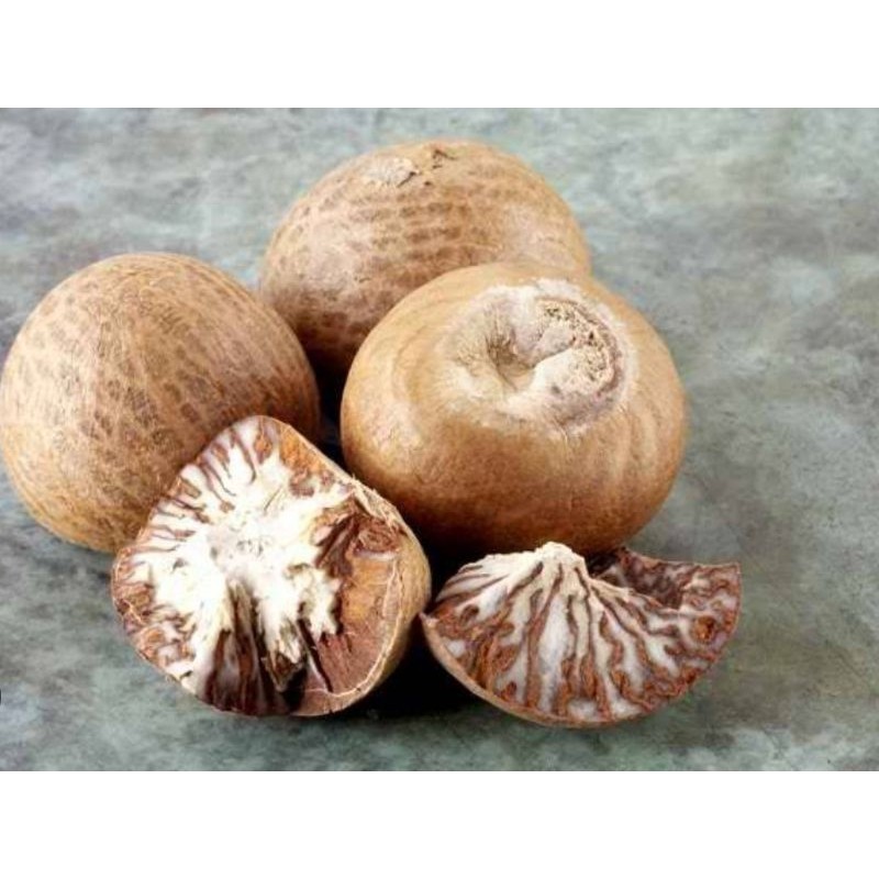 

Asli Buah pinang tua berat 100g untuk obat herbal buah jambe TS