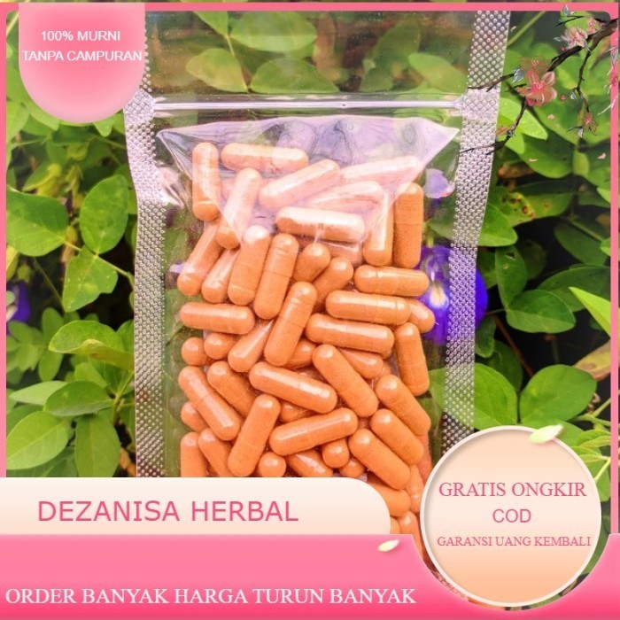 Kapsul Purwoceng (isi 100) Jamu herbal