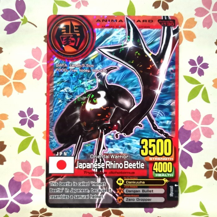 animal kaiser normal japanese rhino beetle evo 2