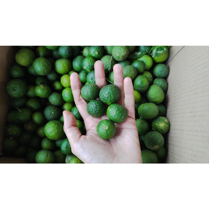 

JERUK LIMO 250 GR | JERUK LIMAU | JERUK SAMBAL NIZAM STORE ID