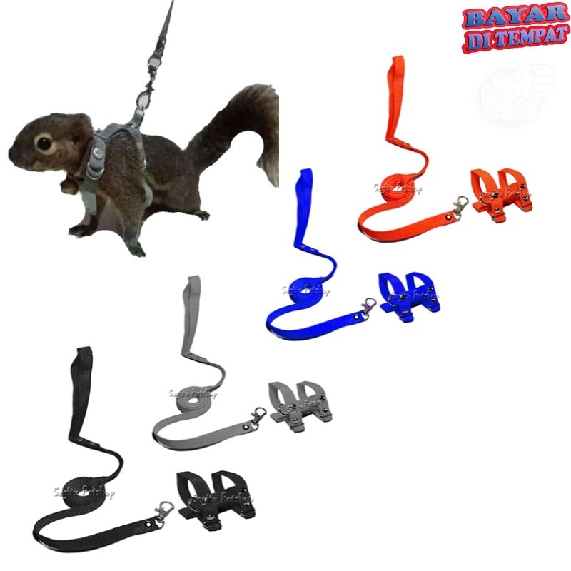 HARNES H TALI UNTUK TUNTUN SUGAR GLIDER BAJING TUPAI HERNES KADAL HAMSTER HARNESS MODEL H