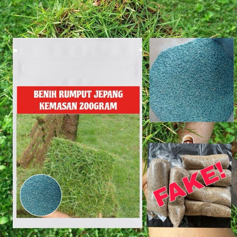 peromo benih rumput jepang 200gram -biji rumput jepang original