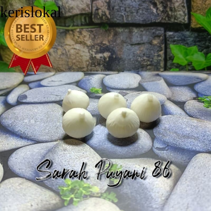 Batu Fossil Kelapa/Mustika Kelapa Replika KL1