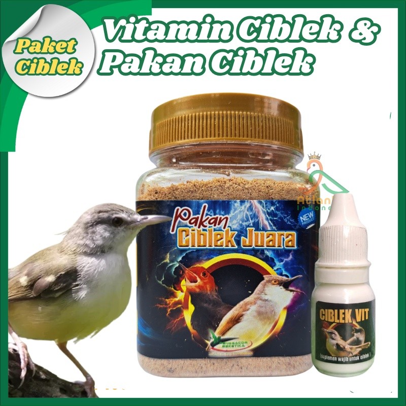 [PAKET HEMAT CIBLEK] Ciblek Vit Suplemen wajib untuk Ciblek + Pakan Ciblek Juara