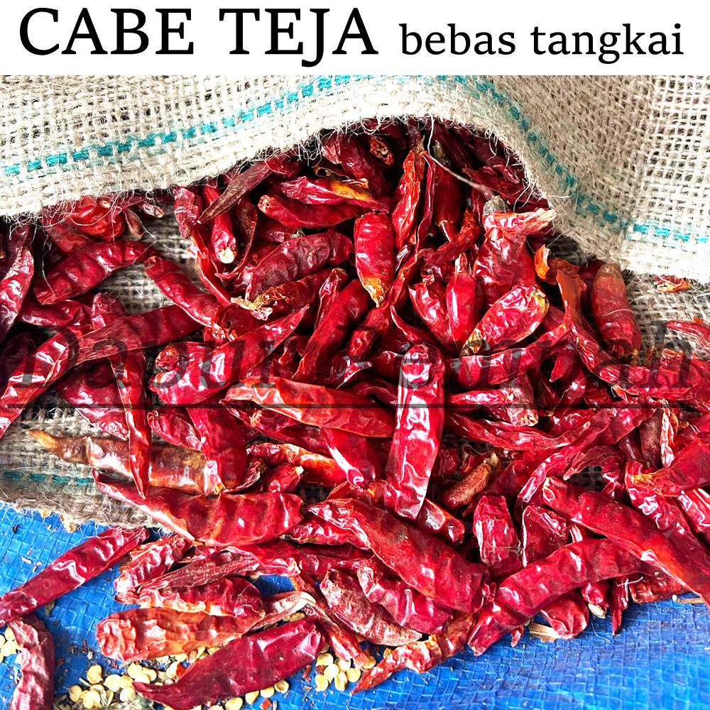 

Cabe Teja Kering Tanpa Tangkai 500gram
