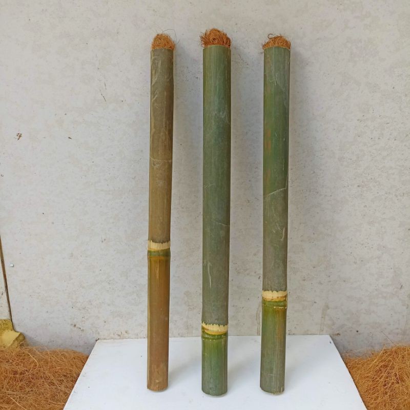 Obor Bambu Pakai Sumbu Panjang 50cm Bambu Obor Minyak Tanah