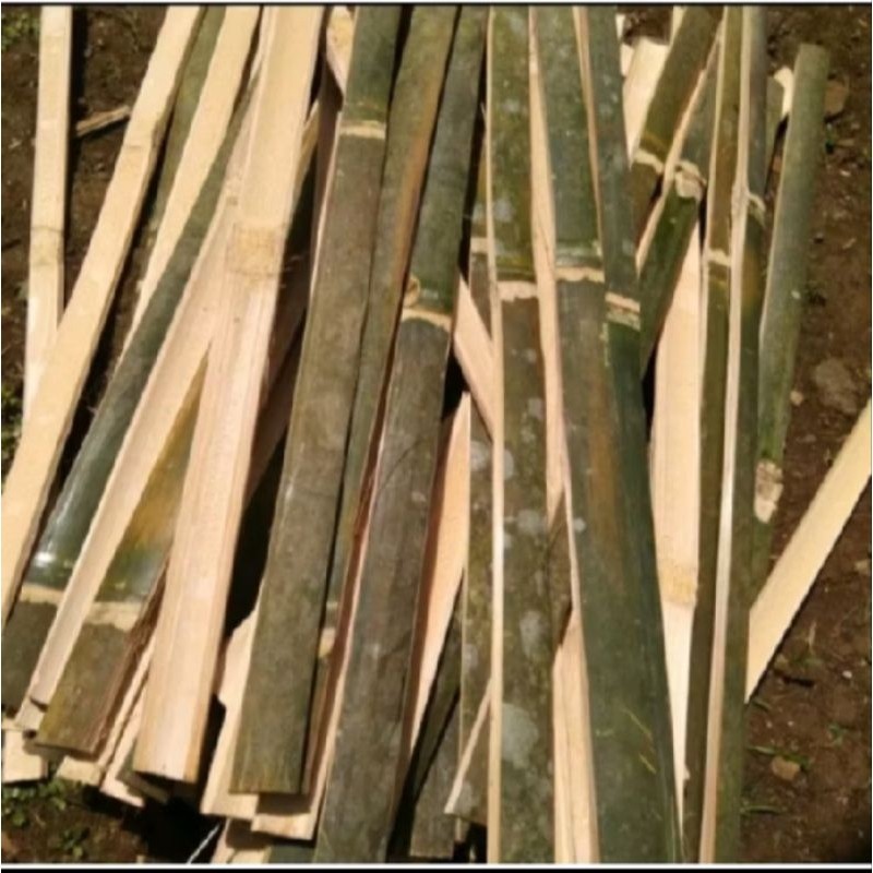 

Awi / Bambu Bilah / Bambu Penyangga Tanaman rambat / Bambu ternak / Bambu Sebaguna