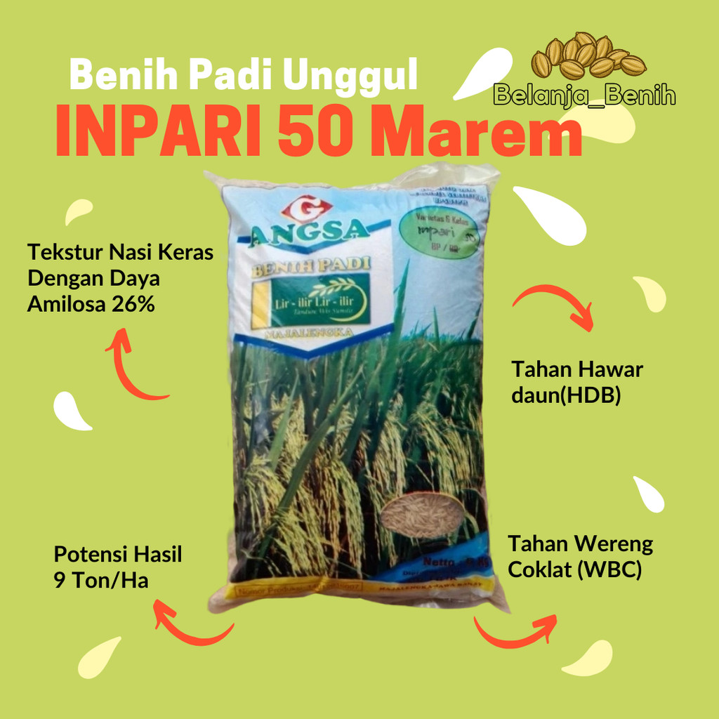 Benih padi Inpari 50 Marem