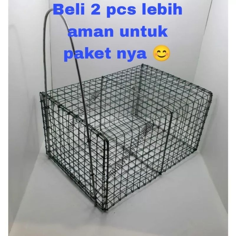 jebakan perangkap tikus / perangkap tikus