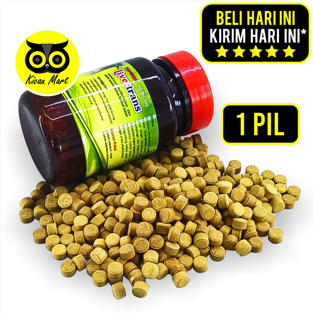 KICAU MART LIVERTRANS TOPSONG LIVERTRAN TOP SONG VITAMIN PIL OBAT JAMU BURUNG MERPATI DARA TERBANG T