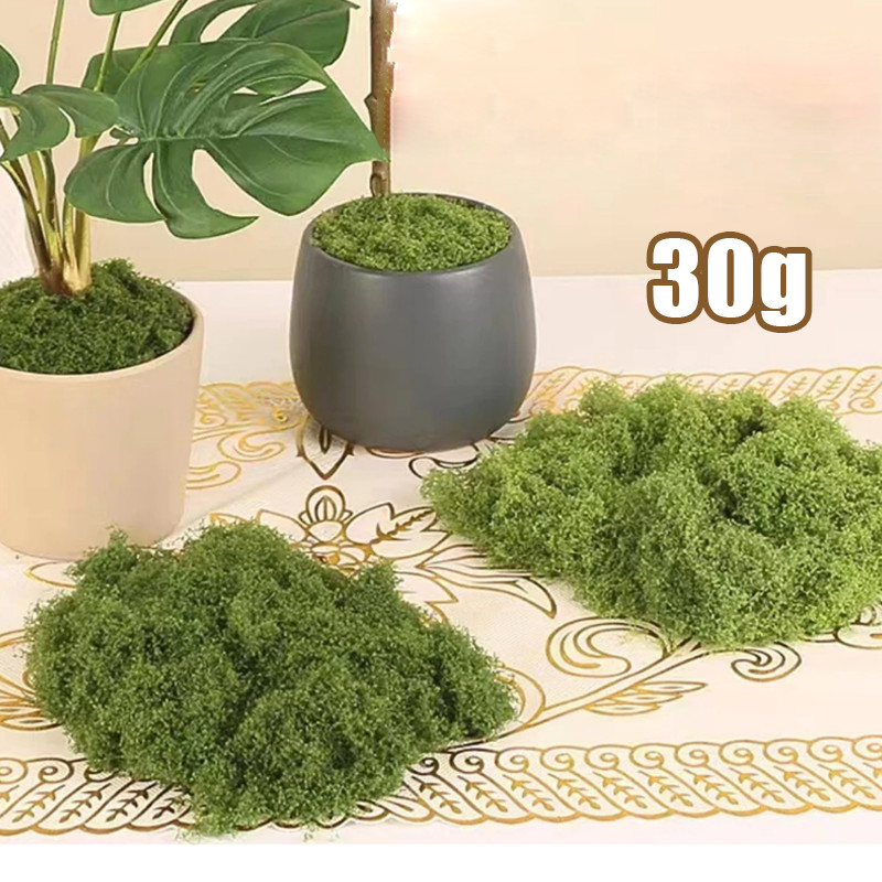 Dekorasi Moss Lumut Abadi Green Grass Artificial Hiasan Dekorasi Ruangan Rumah Ekorasi Lumut Kering