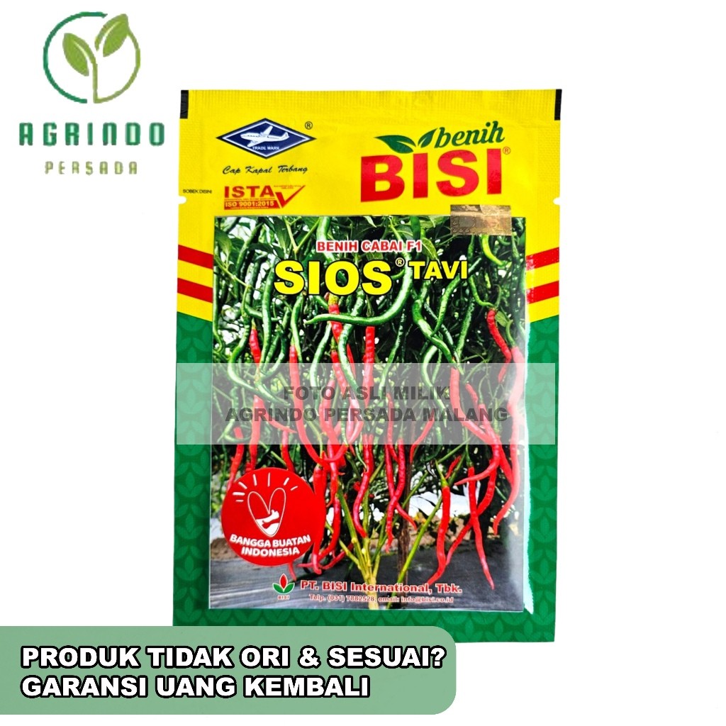 mh63jf Benih Cabai Sios Tavi 10 gram | Benih Sios Tavi Cap Kapal Terbang Original