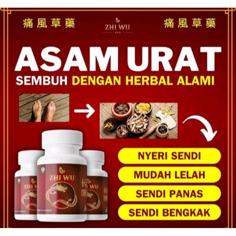 

zhi wu obat asam urat asli original 770