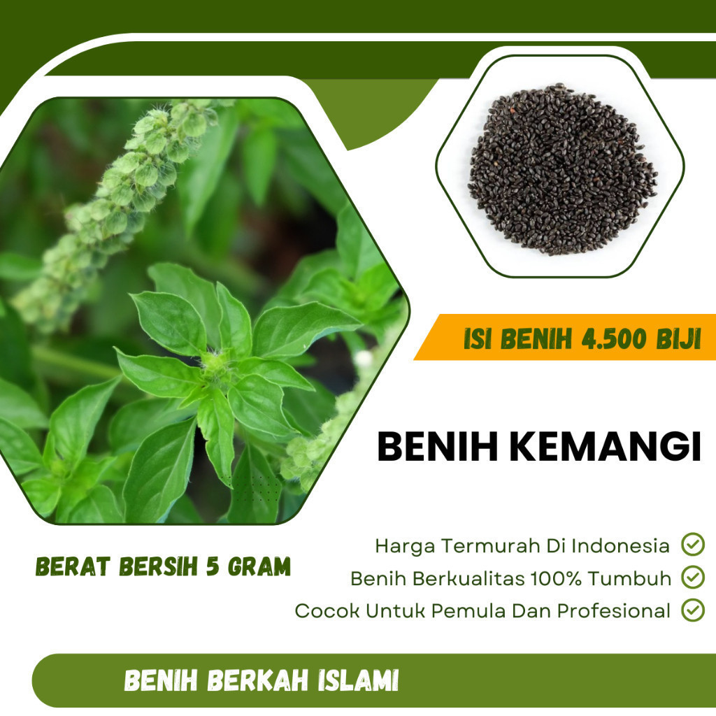 Benih Kemangi 4500 Biji Sayuran Murah dan Unggul Bibit Tanaman Sayur Buah