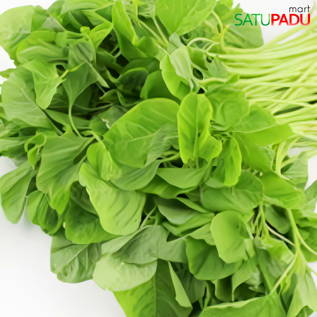 

Bayem Segar Daun Hijau 1 Ikat