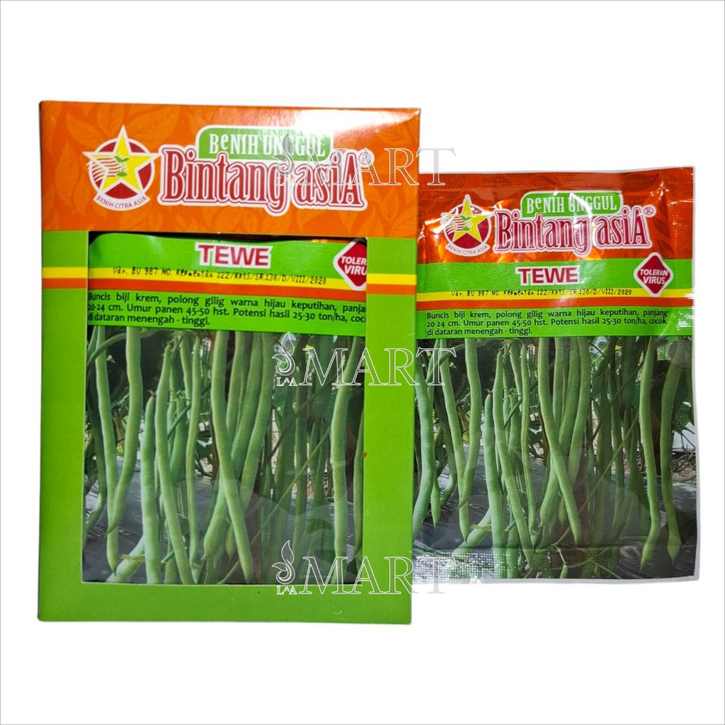 BENIH BUNCIS TEWE 100 GRAM - BINTANG ASIA
