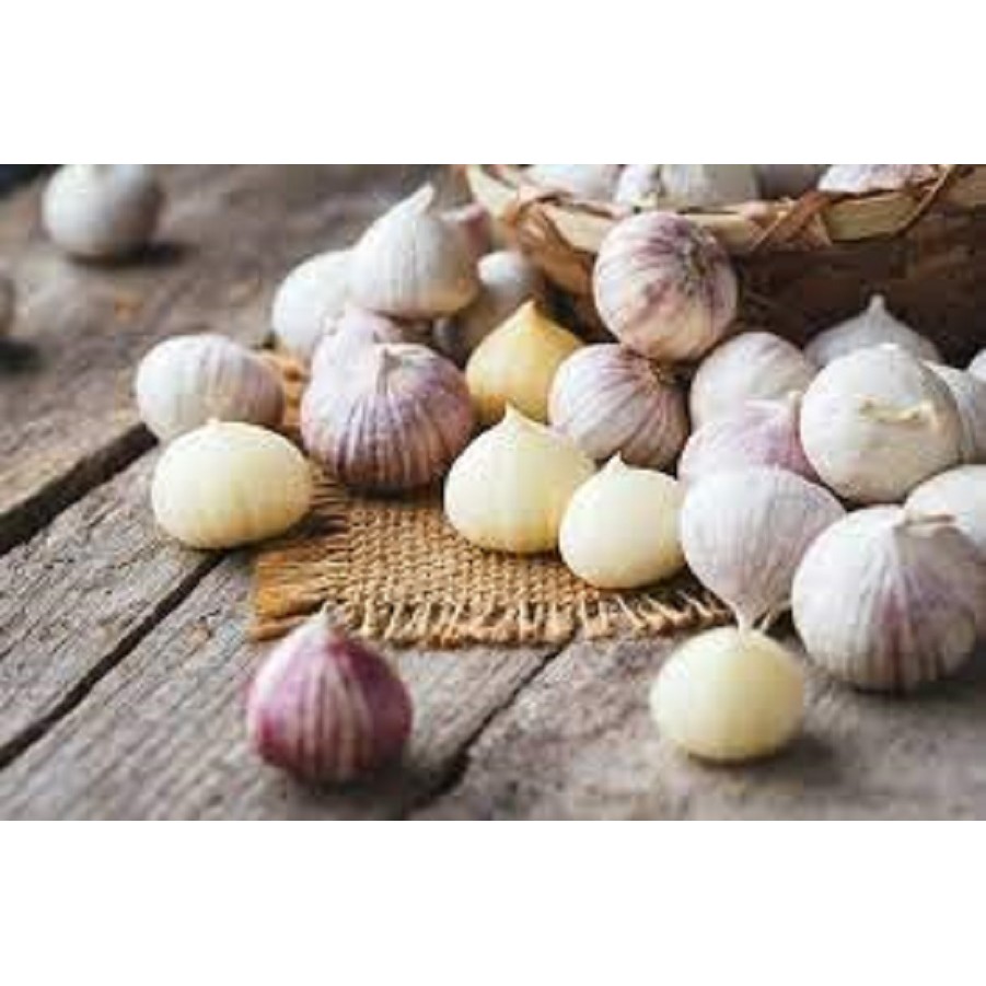 

Bawang Putih Tunggal Sedang 1Kg - 01