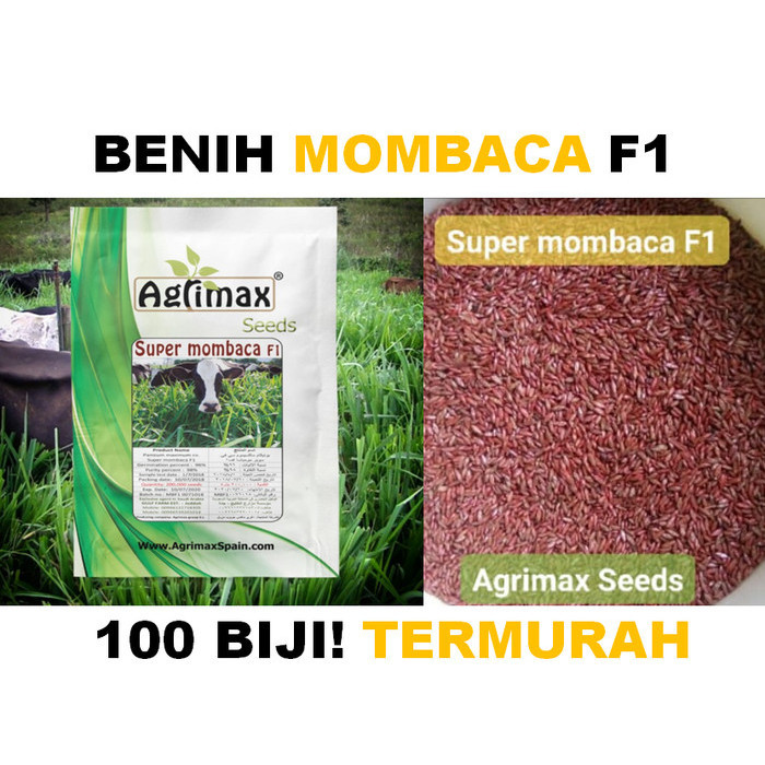 Benih mombaca f1 asli 100 biji F1 Super termurah