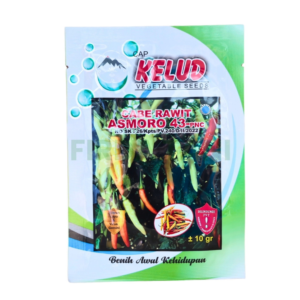 

Cabe Asmoro 43 Pnc Tahan Virus Kemasan 10gr Original Cap Kelud