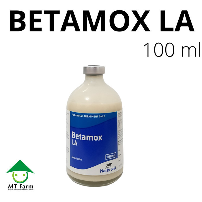 SALE -Betamox La  / antibiotik untuk hewan ternak / antibakteri