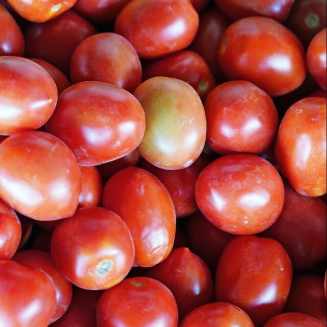 

Tomat Buah Segar / Sayur Makassar