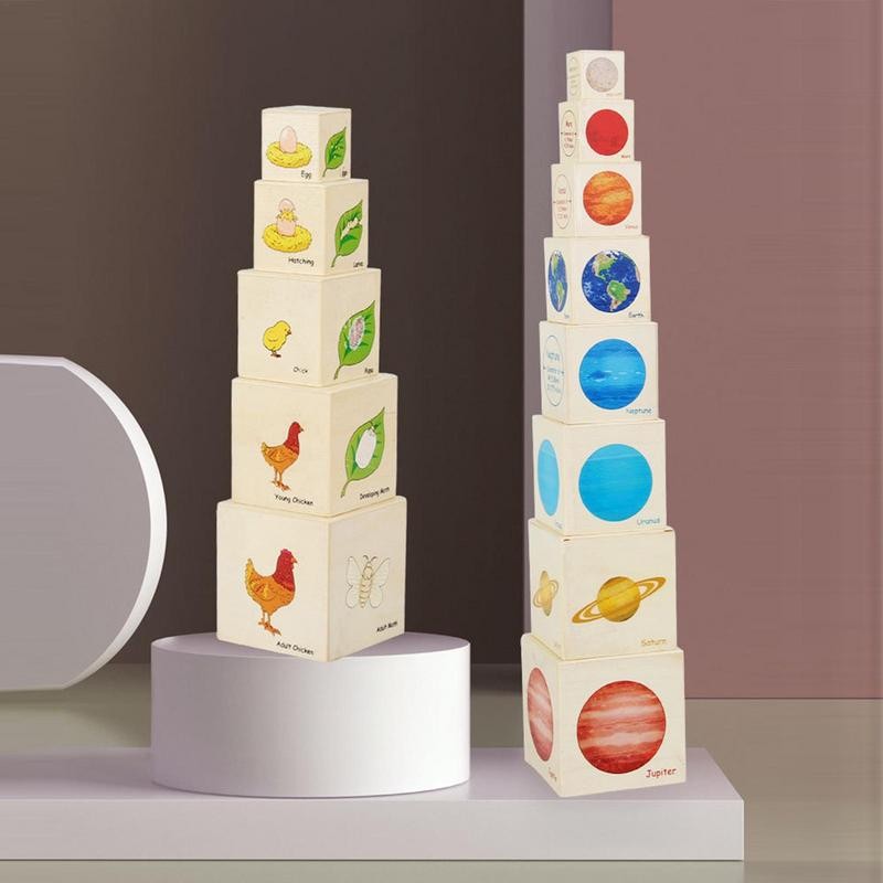 

Montessori Wooden Toys Eight Planets Puzzle Earth Sun Solar System Planets,Animal Plant Growth And Change Process Logical Toys