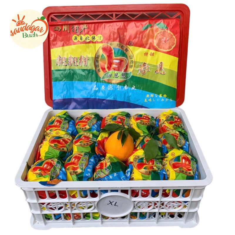 

BUAH JERUK DEKOPON / JERUK PAPAGAN KUPAS MANIS 1 KRANJANG