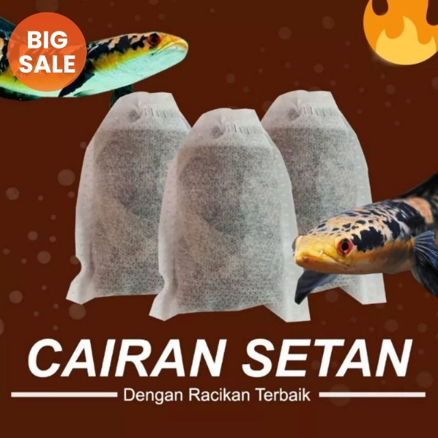 Cairan setan ikan channa / racikan treatment ikan chana / ikan chana / chana