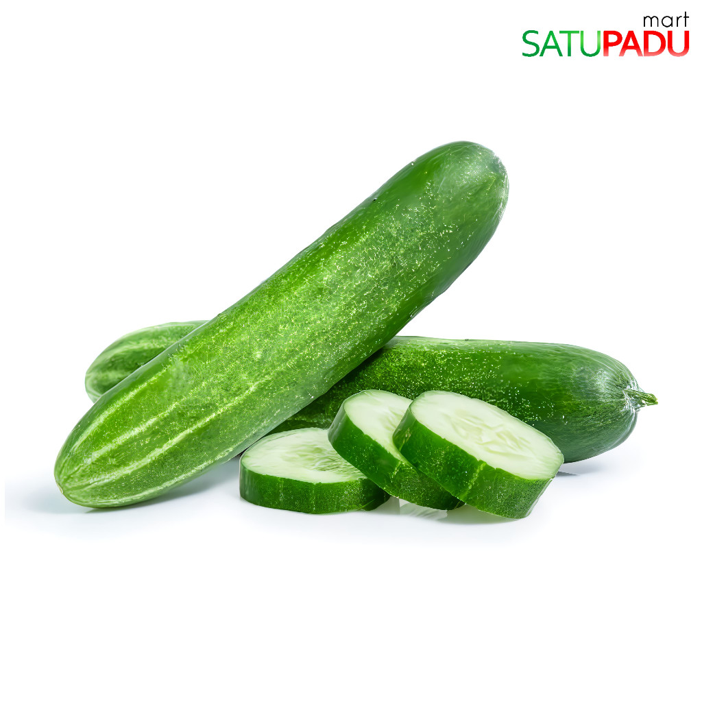 

satupadu mart - Mentimun Segar Organik | Sayuran Timun | Cucumber Fresh