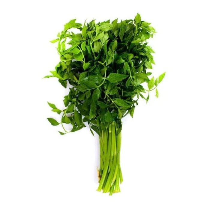 

Daun Seladren atau Tespong Segar 500 Gram Sayuran Langka