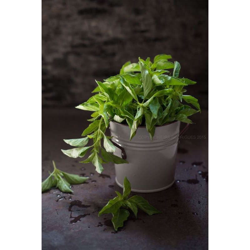 

Daun kemangi iketan 250gr