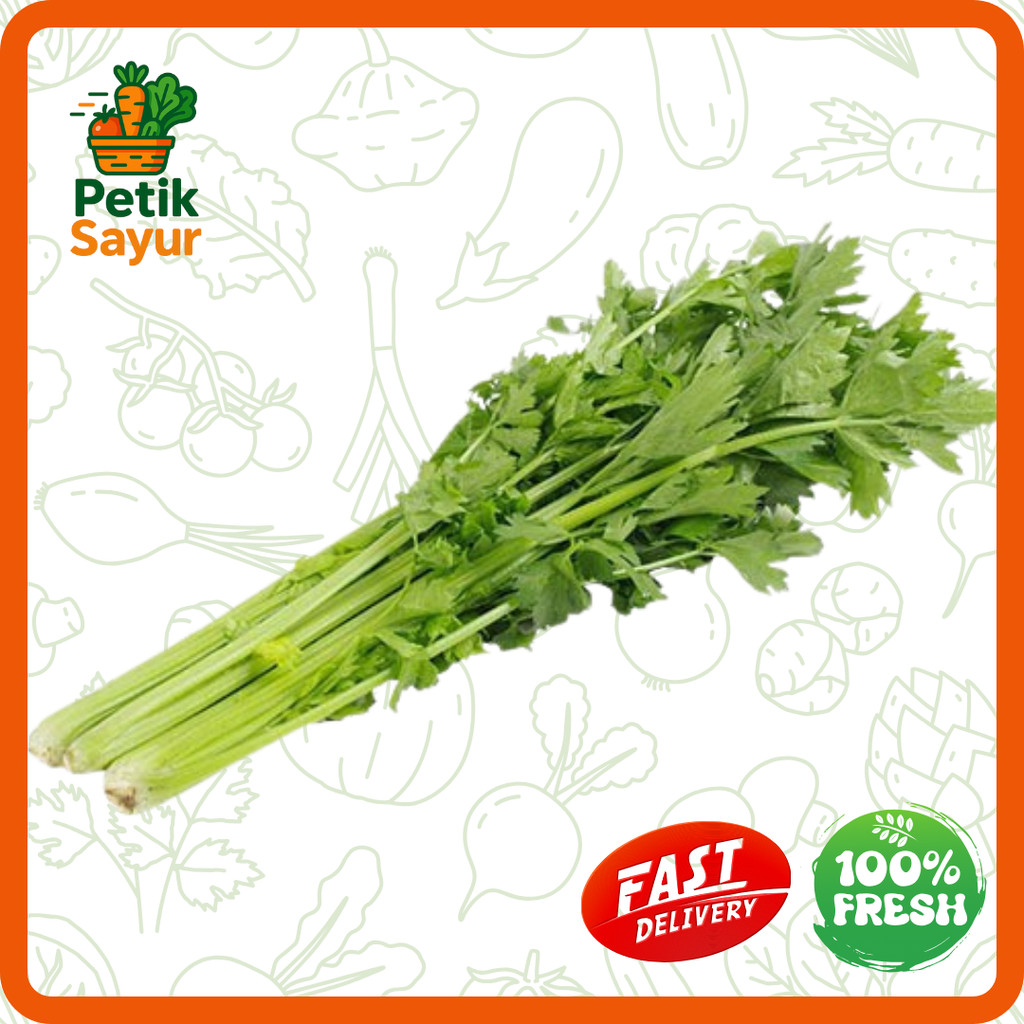 

Seledri Stick Konvensional 250 gram PetikSayur