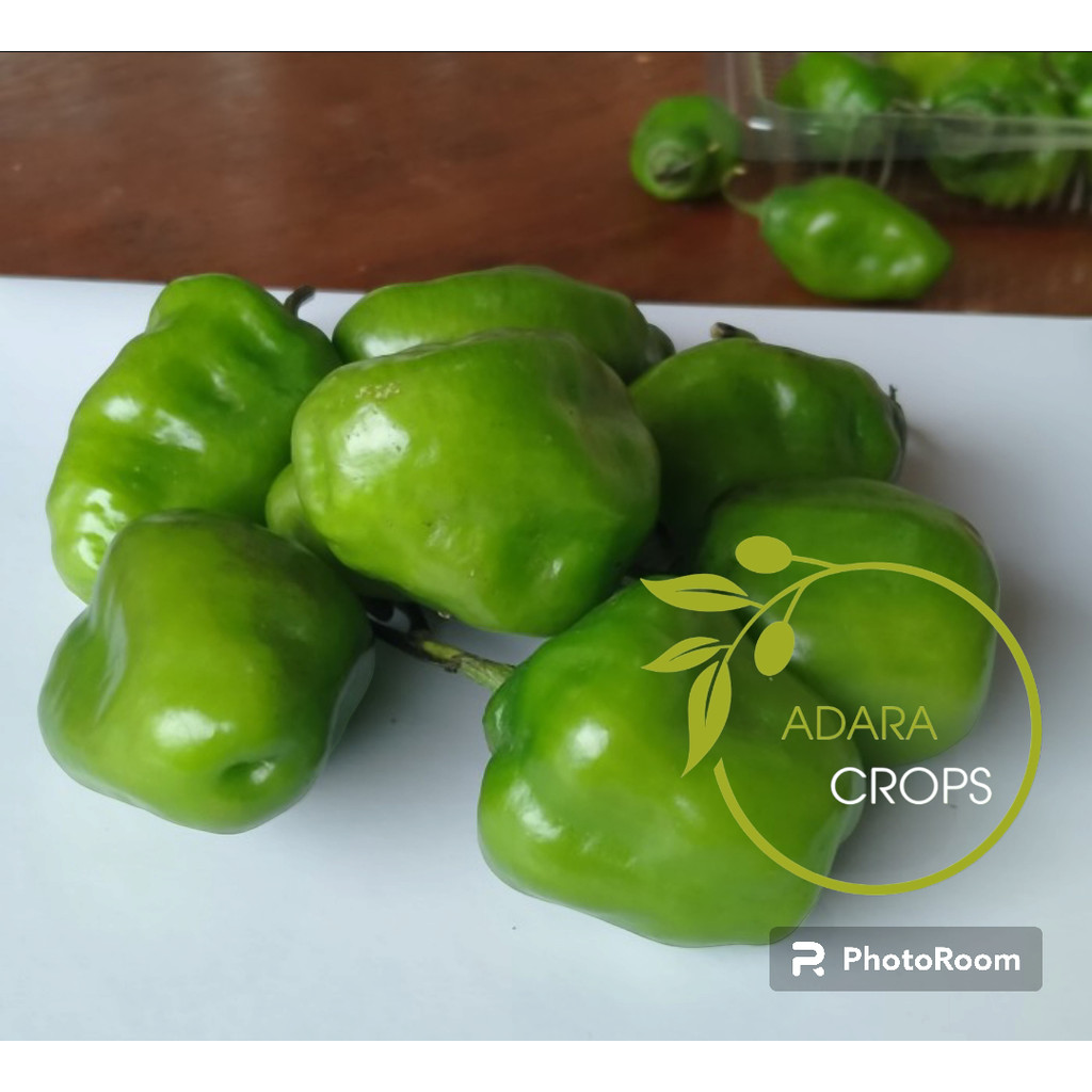 

PROMO Cabe Gendot Cabe Gendot Segar Asli ciwidey Bahan sambal 1Kg dan 1/2kg