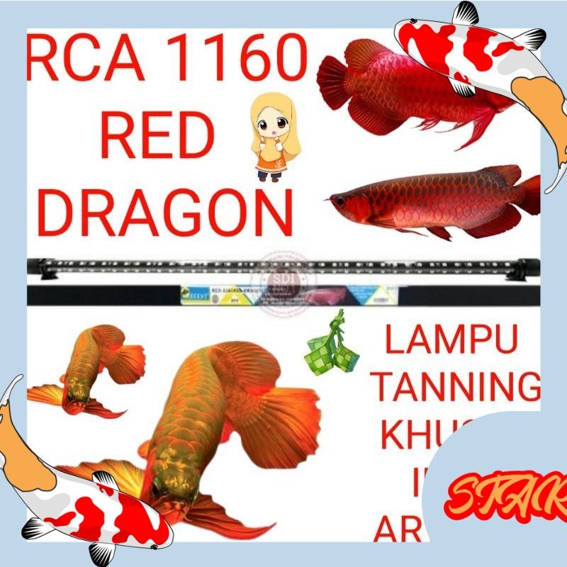 lampu tanning aquarium lampu khusus ikan arwana RCA 1160 RED DRAGON RECENT